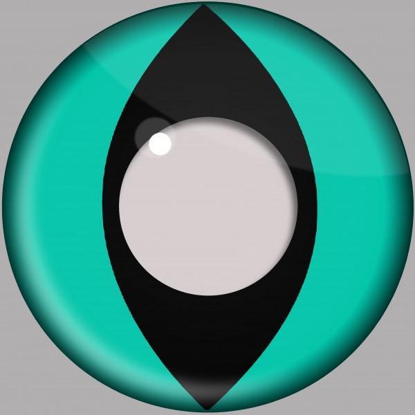 Aqua Cat Eye Crazy Daily Lenses 2 pack