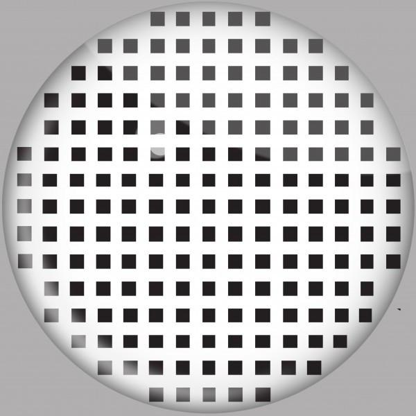 White Mesh Crazy Daily Lenses 2 pack