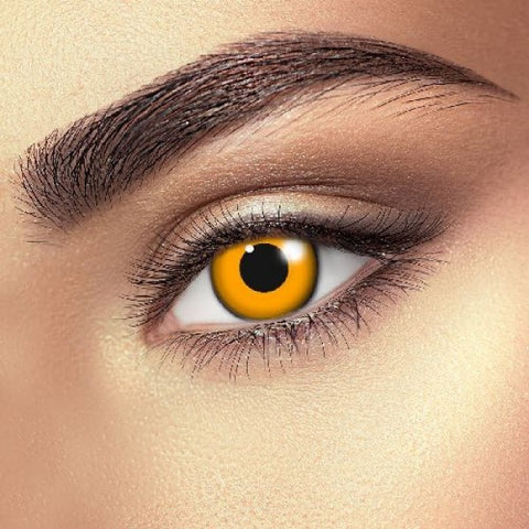 Pumpkin Crazy Daily Lenses 2 pack