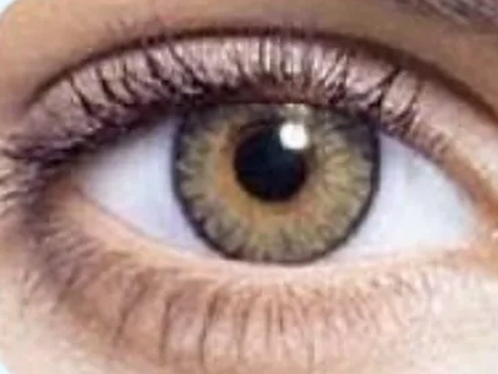 Pure Hazel One-Day Halloween Contact Lenses 10 Pack – Fox Look