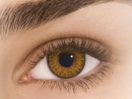 Werewolf gold Halloween contact lens on eye