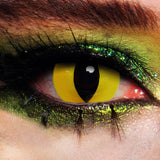 Wild Cat Crazy Contact Lenses 2 Pack