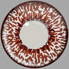 Chocolate Brown Two Tone Crazy Daily Lenses 2 pack